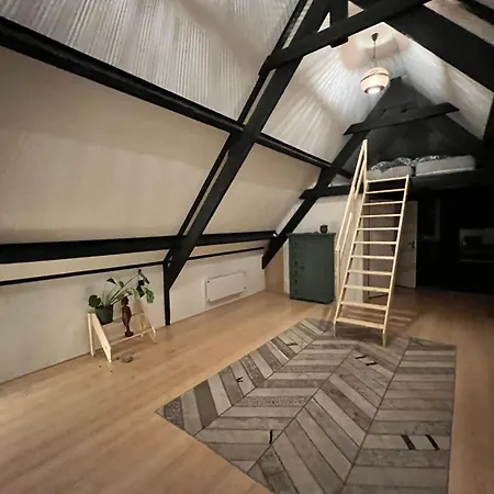 Dream Hoogwoud