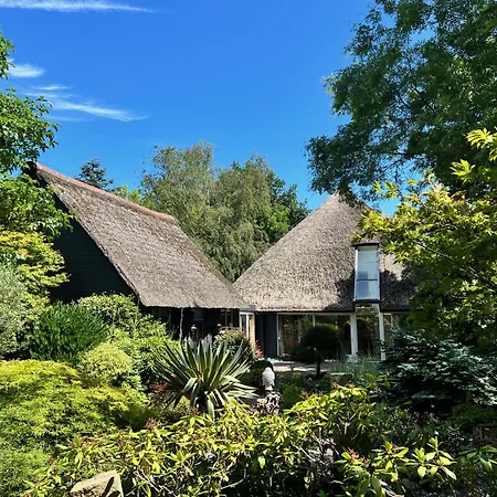 Dream アパート *