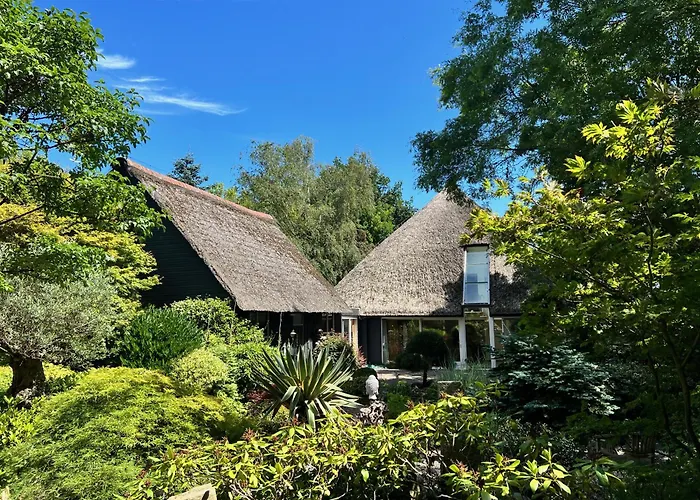 Dream アパート *